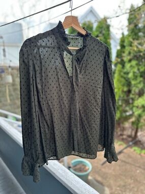 Garnet Hill Black Swiss Dot Sheer Blouse